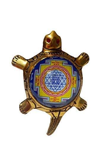 Dhan Laxmi Tortoise (Only Kachua) for Good Luck